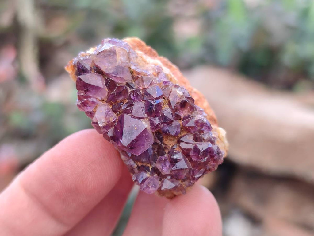 Natural Amethystos Amethyst Clusters x 35 From Kwaggafontein, South Africa - Toprock Gemstones and Minerals 