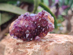 Natural Amethystos Amethyst Clusters x 35 From Kwaggafontein, South Africa - Toprock Gemstones and Minerals 