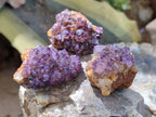 Natural Amethystos Amethyst Clusters x 35 From Kwaggafontein, South Africa - Toprock Gemstones and Minerals 