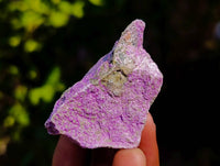 Natural Stichtite Cobbed Specimens x 2.18kg Lot From Barberton, South Africa - Toprock Gemstones and Minerals 