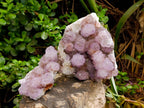 Natural Amethyst Spirit Quartz Clusters x 2 From Boekenhouthoek, South Africa - Toprock Gemstones and Minerals 