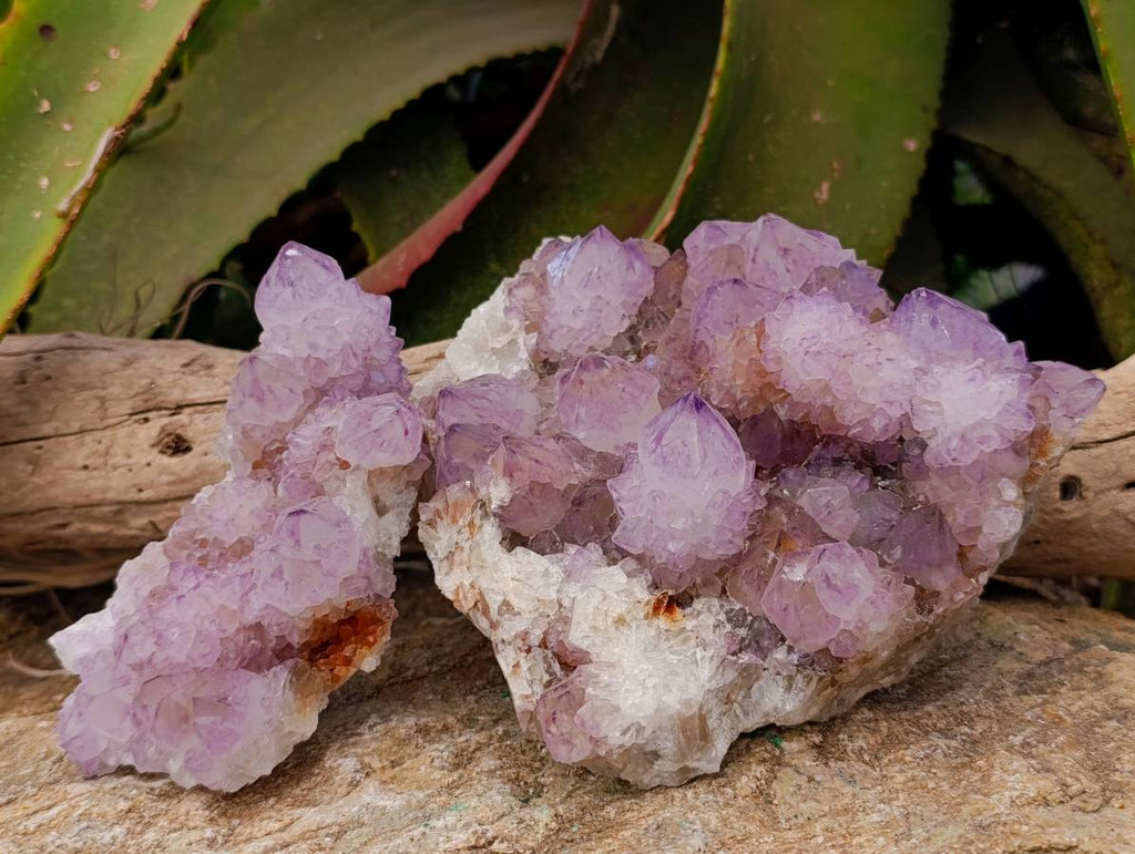 Natural Amethyst Spirit Quartz Clusters x 2 From Boekenhouthoek, South Africa - Toprock Gemstones and Minerals 