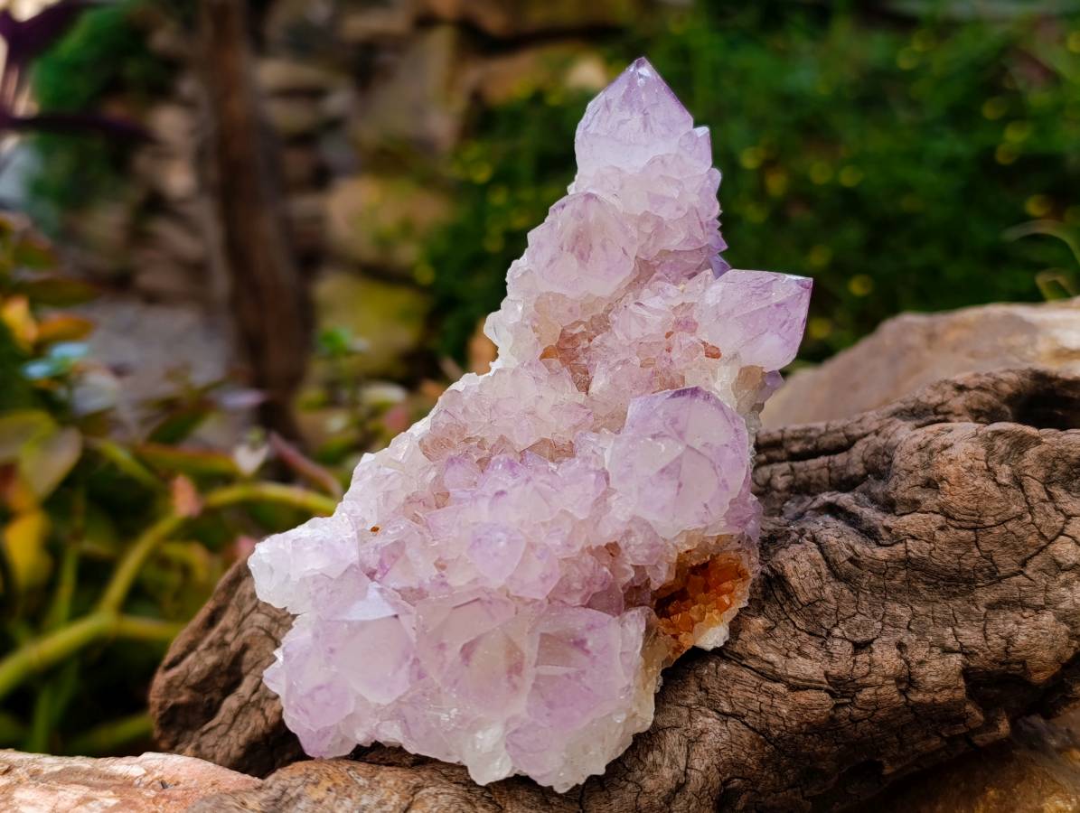 Natural Amethyst Spirit Quartz Clusters x 2 From Boekenhouthoek, South Africa - Toprock Gemstones and Minerals 