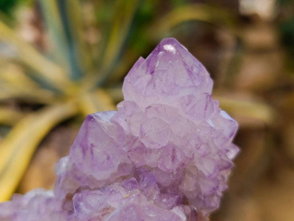 Natural Amethyst Spirit Quartz Clusters x 2 From Boekenhouthoek, South Africa - Toprock Gemstones and Minerals 