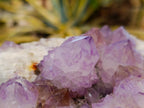 Natural Amethyst Spirit Quartz Clusters x 2 From Boekenhouthoek, South Africa - Toprock Gemstones and Minerals 