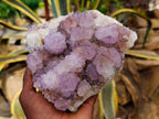 Natural Amethyst Spirit Quartz Clusters x 2 From Boekenhouthoek, South Africa - Toprock Gemstones and Minerals 