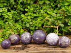 Polished Lepidolite Spheres x 6 From Madagascar - Toprock Gemstones and Minerals 