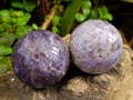 Polished Lepidolite Spheres x 6 From Madagascar - Toprock Gemstones and Minerals 