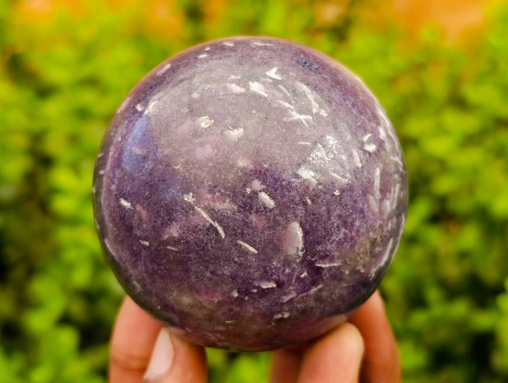 Polished Lepidolite Spheres x 6 From Madagascar - Toprock Gemstones and Minerals 