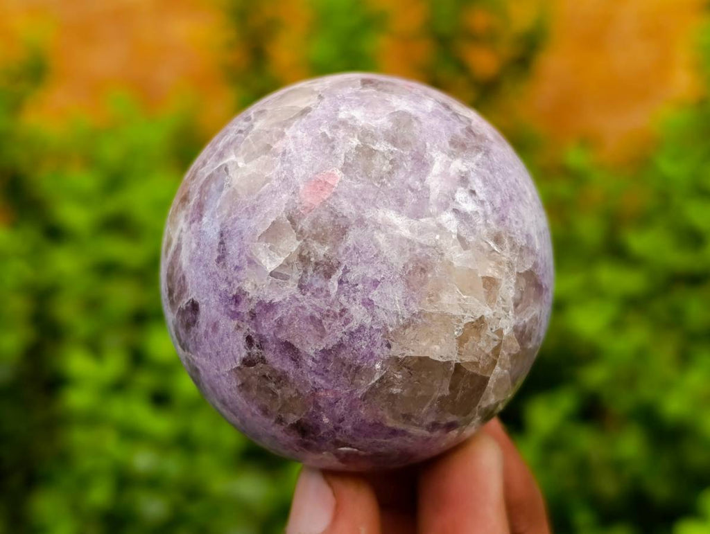 Polished Lepidolite Spheres x 6 From Madagascar - Toprock Gemstones and Minerals 