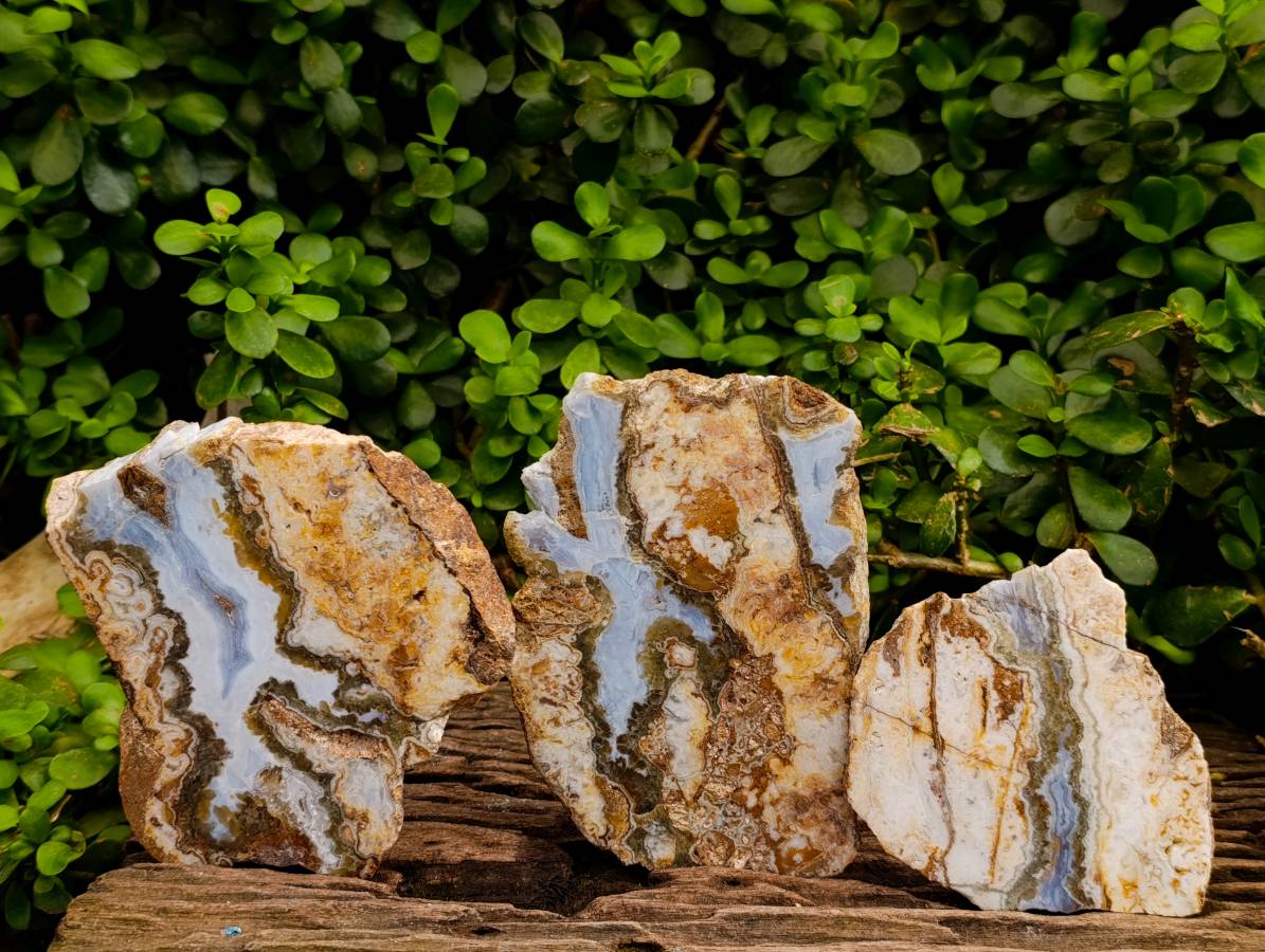 Polished Blue Lace Agate With Crazy Lace x 3 From Namibia - Toprock Gemstones and Minerals 