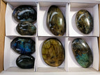 Polished Labradorite Palm Stones x 8 From Tulear, Madagascar - Toprock Gemstones and Minerals 