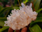 Natural Quartz Clusters x 24 From Madagascar - Toprock Gemstones and Minerals 