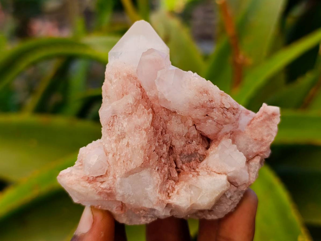Natural Quartz Clusters x 24 From Madagascar - Toprock Gemstones and Minerals 
