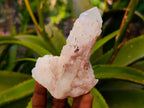Natural Quartz Clusters x 24 From Madagascar - Toprock Gemstones and Minerals 
