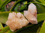 Natural Quartz Clusters x 24 From Madagascar - Toprock Gemstones and Minerals 