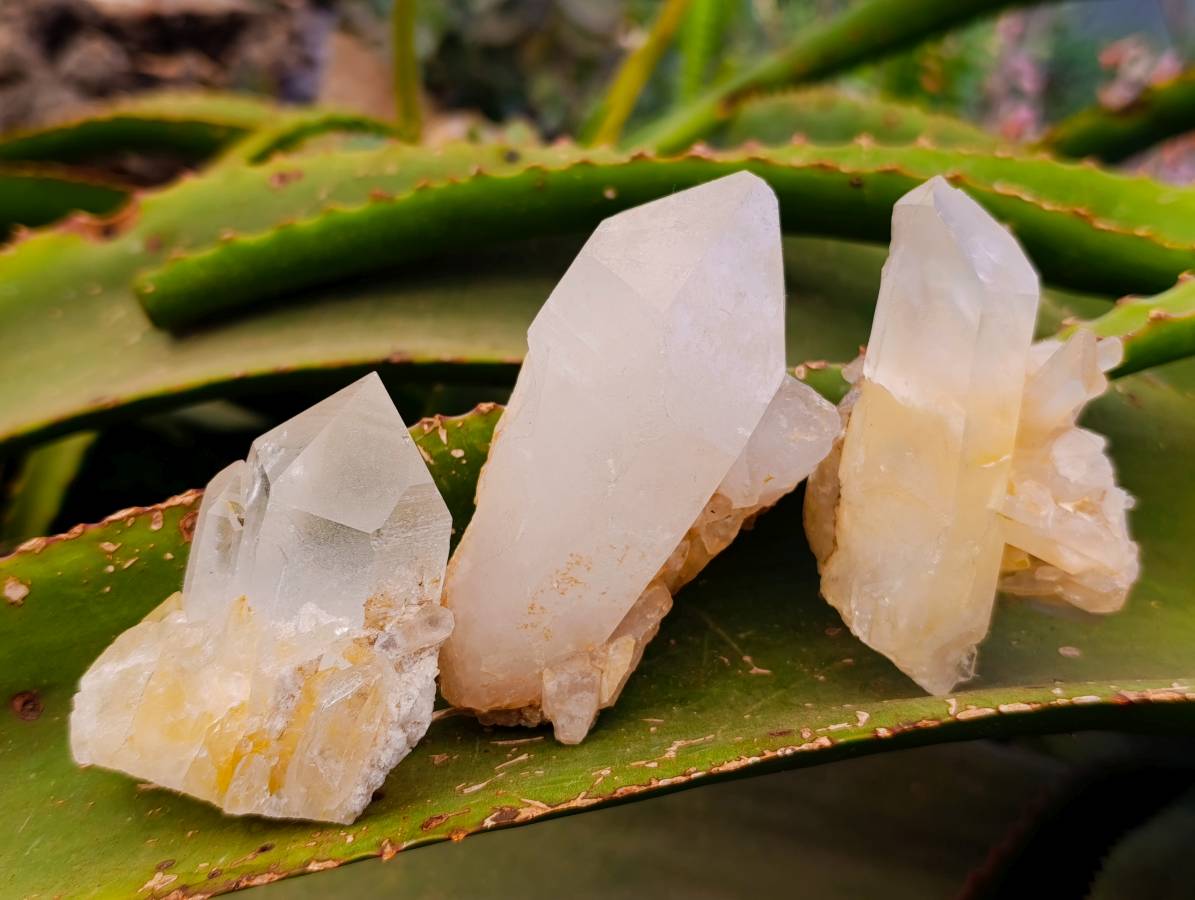 Natural Quartz Clusters x 24 From Madagascar - Toprock Gemstones and Minerals 