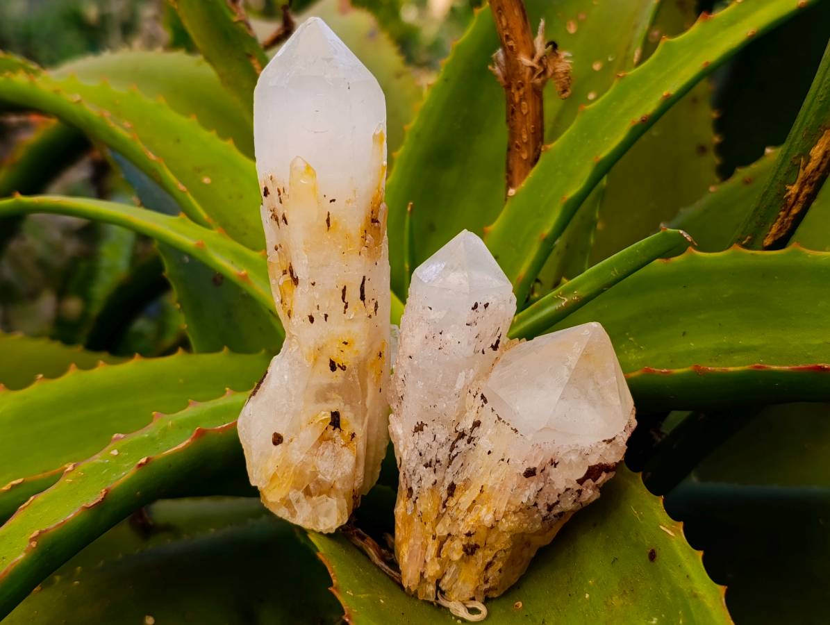 Natural Quartz Clusters x 24 From Madagascar - Toprock Gemstones and Minerals 