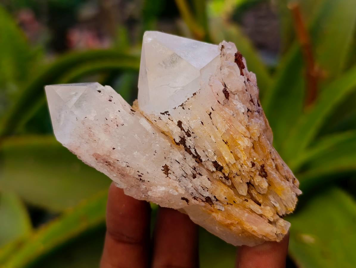 Natural Quartz Clusters x 24 From Madagascar - Toprock Gemstones and Minerals 
