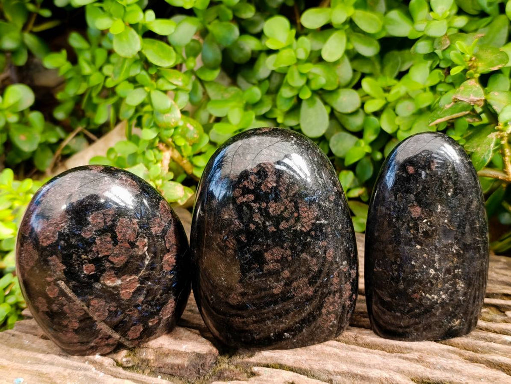 Polished Blue Spark Iolite Standing Free Form x 3 From Ambatofinandrahana, Madagascar - Toprock Gemstones and Minerals 