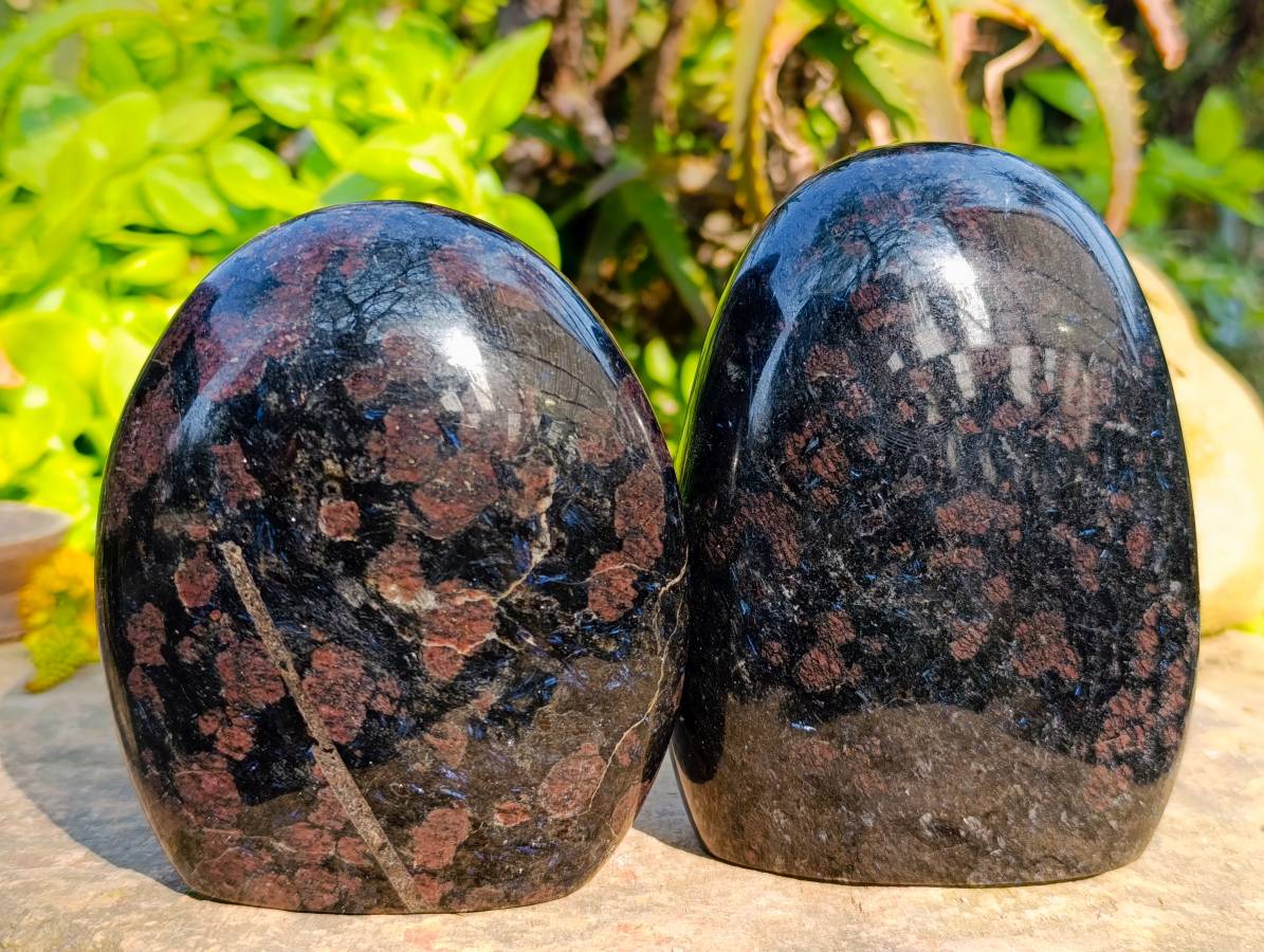 Polished Blue Spark Iolite Standing Free Form x 3 From Ambatofinandrahana, Madagascar - Toprock Gemstones and Minerals 