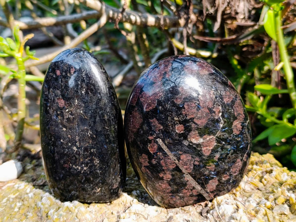 Polished Blue Spark Iolite Standing Free Form x 3 From Ambatofinandrahana, Madagascar - Toprock Gemstones and Minerals 