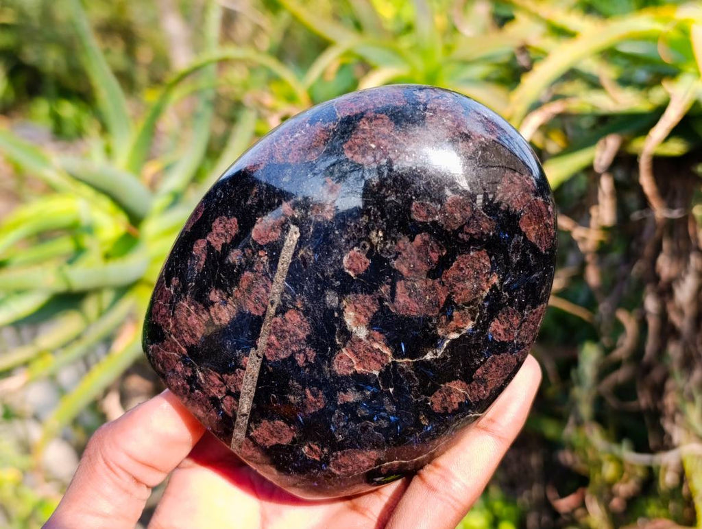 Polished Blue Spark Iolite Standing Free Form x 3 From Ambatofinandrahana, Madagascar - Toprock Gemstones and Minerals 