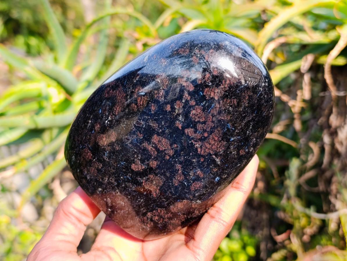 Polished Blue Spark Iolite Standing Free Form x 3 From Ambatofinandrahana, Madagascar - Toprock Gemstones and Minerals 