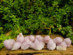 Natural Amethyst Spirit Quartz Clusters x 12 From Boekenhouthoek, South Africa - Toprock Gemstones and Minerals 