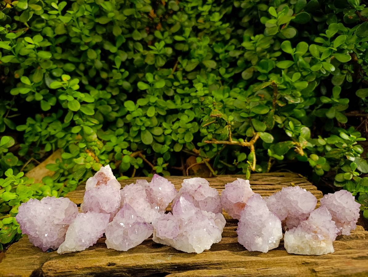 Natural Amethyst Spirit Quartz Clusters x 12 From Boekenhouthoek, South Africa - Toprock Gemstones and Minerals 