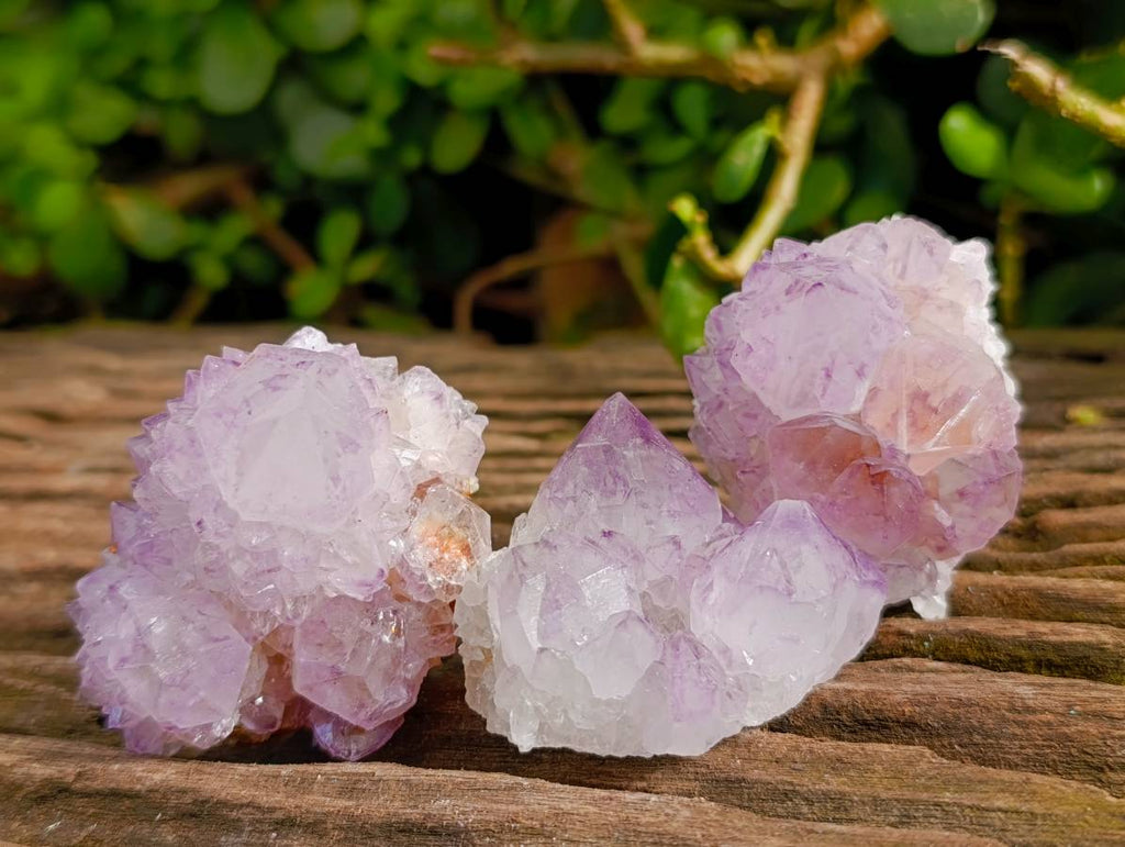 Natural Amethyst Spirit Quartz Clusters x 12 From Boekenhouthoek, South Africa - Toprock Gemstones and Minerals 
