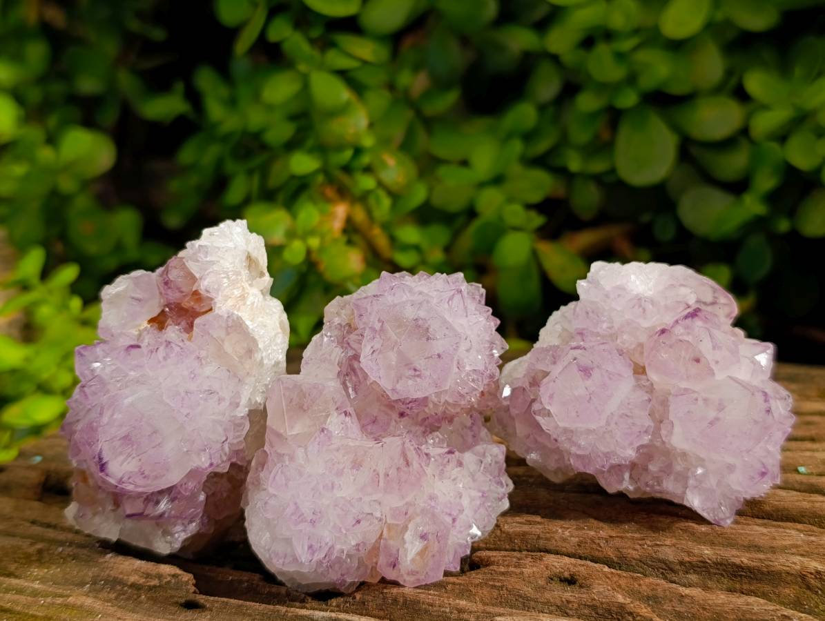Natural Amethyst Spirit Quartz Clusters x 12 From Boekenhouthoek, South Africa - Toprock Gemstones and Minerals 