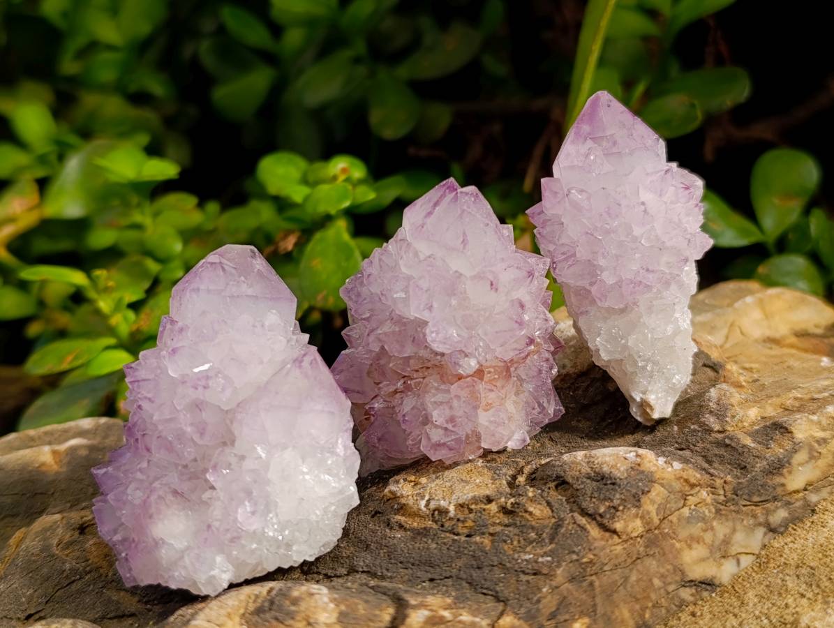 Natural Amethyst Spirit Quartz Clusters x 12 From Boekenhouthoek, South Africa - Toprock Gemstones and Minerals 