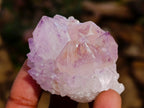 Natural Amethyst Spirit Quartz Clusters x 12 From Boekenhouthoek, South Africa - Toprock Gemstones and Minerals 