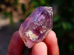 Natural Window Amethyst Crystals x 35 From Chiredzi, Zimbabwe - Toprock Gemstones and Minerals 