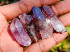 Natural Window Amethyst Crystals x 35 From Chiredzi, Zimbabwe - Toprock Gemstones and Minerals 