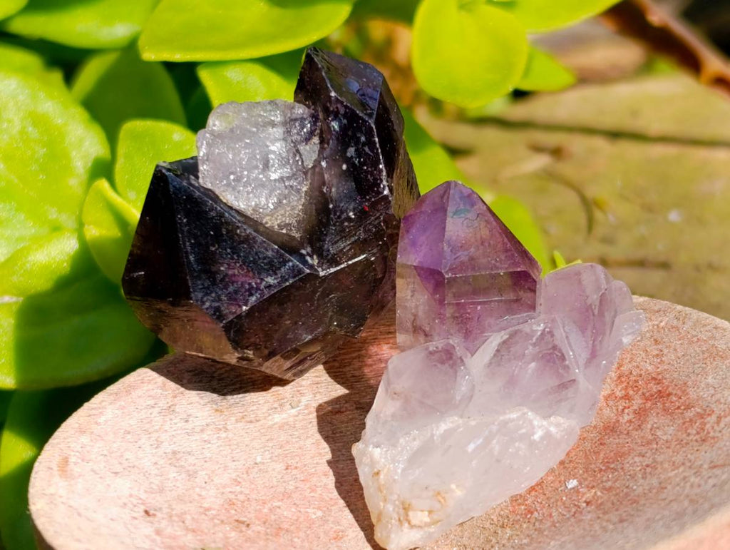 Natural Window Amethyst Crystals x 35 From Chiredzi, Zimbabwe - Toprock Gemstones and Minerals 