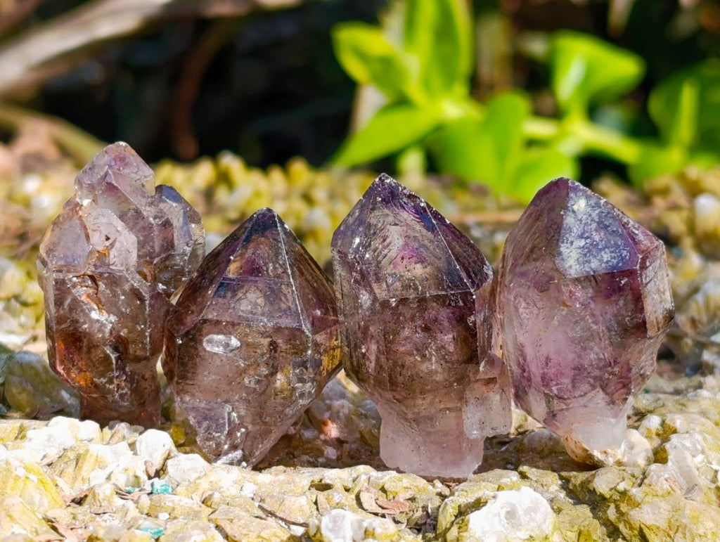Natural Window Amethyst Crystals x 35 From Chiredzi, Zimbabwe - Toprock Gemstones and Minerals 