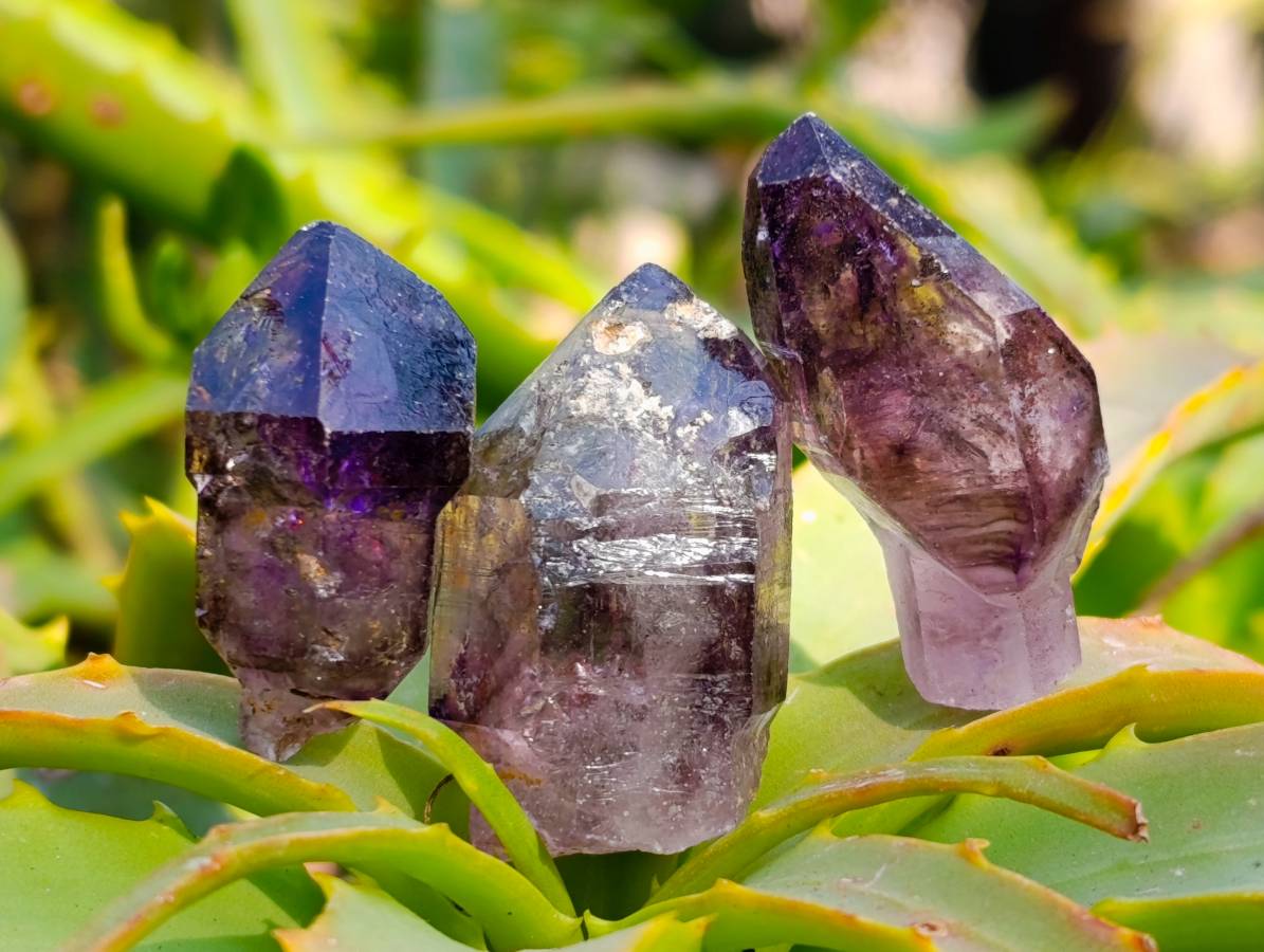 Natural Window Amethyst Crystals x 35 From Chiredzi, Zimbabwe - Toprock Gemstones and Minerals 