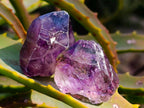 Natural Window Amethyst Crystals x 35 From Chiredzi, Zimbabwe - Toprock Gemstones and Minerals 