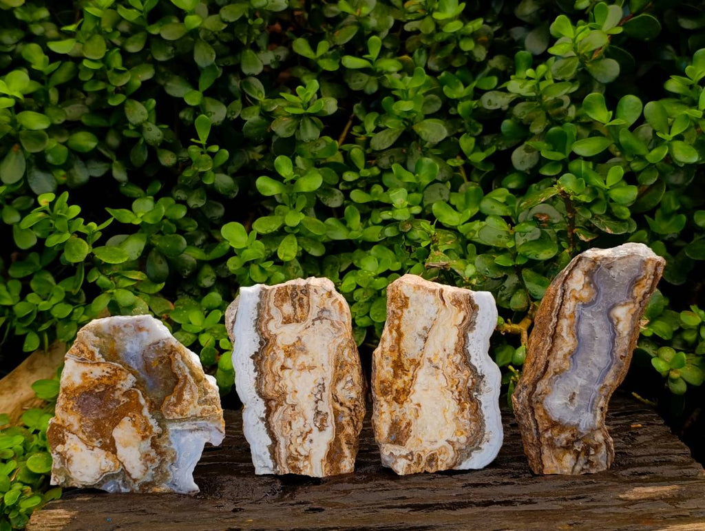 Polished Blue Lace Agate With Crazy Lace x 4 From Namibia - Toprock Gemstones and Minerals 