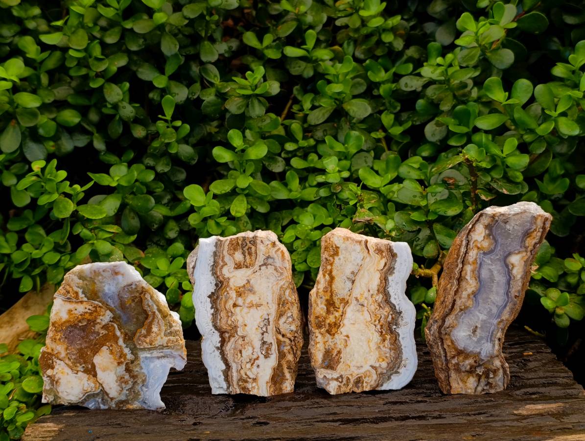 Polished Blue Lace Agate With Crazy Lace x 4 From Namibia - Toprock Gemstones and Minerals 