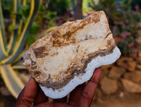 Polished Blue Lace Agate With Crazy Lace x 4 From Namibia - Toprock Gemstones and Minerals 
