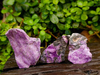 Natural Stichtite Cobbed Specimens x 1 Lot From Barberton, South Africa - Toprock Gemstones and Minerals 
