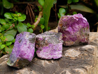 Natural Stichtite Cobbed Specimens x 1 Lot From Barberton, South Africa - Toprock Gemstones and Minerals 