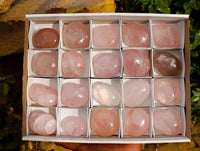 Polished Rose Quartz Palm Stones x 20 From Madagascar - Toprock Gemstones and Minerals 