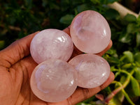 Polished Rose Quartz Palm Stones x 20 From Madagascar - Toprock Gemstones and Minerals 