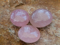 Polished Rose Quartz Palm Stones x 20 From Madagascar - Toprock Gemstones and Minerals 
