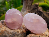 Polished Rose Quartz Palm Stones x 20 From Madagascar - Toprock Gemstones and Minerals 