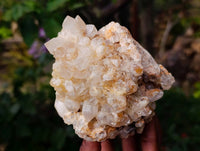 Natural Limonite Quartz Clusters x 4 From Solwezi, Zambia - Toprock Gemstones and Minerals 